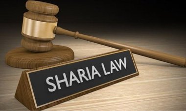 Kaduna Trader Flogged For Denying Paternity Of 6th Son