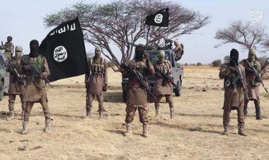 US confirms Boko Haram, bandits working together to blackmail Buhari regime