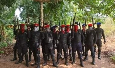 FG: IPOB Attacked 164 Police Stations, Killed 175 Security Operatives