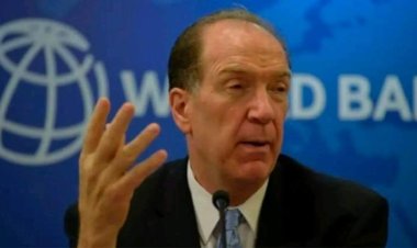 World Bank Blacklists 18 Nigerian Firms, Individuals For Corruption –Report