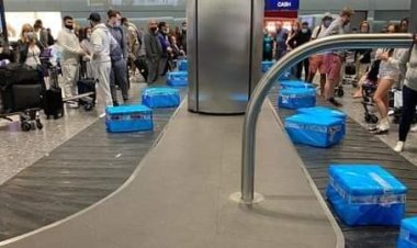 Heathrow Airport: Luggage conveyor belt filled with frozen fish crates