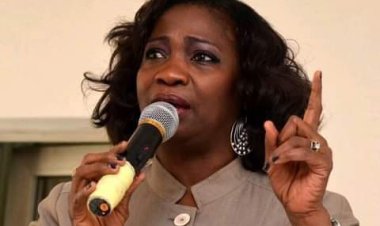 Ignore Security Threats , Invest In Your Country, Dabiri-Erewa Begs Nigerians Abroad 