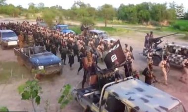 ISIS Fighters From Libya, Syria In Nigeria As ISWAP Plans Fresh Attacks