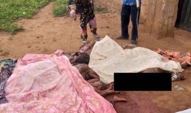 JUST IN: IPOB militants slaughter 19 Fulani herders in Anambra