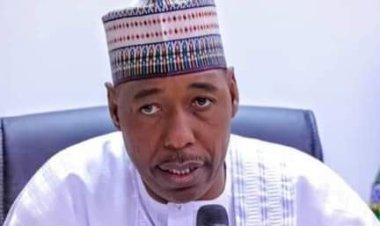 Borno Plans RUGA For Displaced Herders