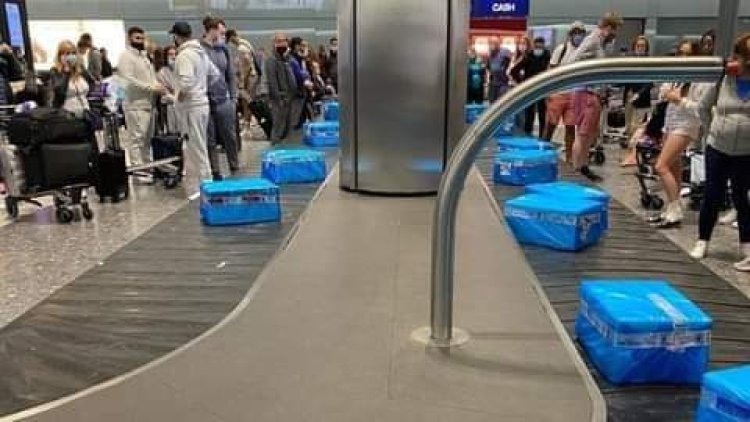 Heathrow Airport: Luggage conveyor belt filled with frozen fish crates
