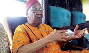 Insecurity In South East: Our Discussion With Buhari Was Targeted At Finding Peace , True Reconciliation — Amechi