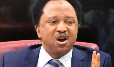 Ohanaeze Chieftain Among Those Kidnapped In Kaduna On Friday – Shehu Sani
