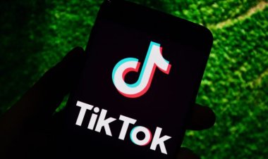 TikTok tops list of internet’s most visited websites