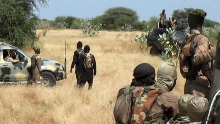 ISWAP Commander, Abou-Sufyan, Killed By Military In Lake Chad Region