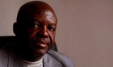 IPOB’s Cow Ban, Declaration Of War , Says ACF, Ohanaeze Seeks Peace 