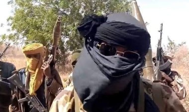 Again, Bandits Raid Niger Communities, Kill 2, Abduct 5