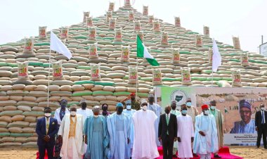 PHOTOS: Dangote, Emefiele Present As Buhari Unveils ‘Mega ’ Rice Pyramid In Abuja