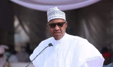 Nigeria On Food Sufficiency Path , Says Buhari