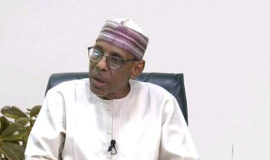 90% Of Governors Have No Business Being In Power , Says Baba-Ahmed