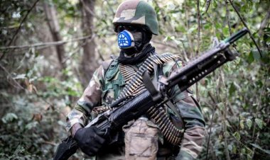 Nine Senegalese soldiers missing – army says