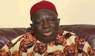 Igbo Prepared For Presidency Even Before Buhari Became President , Says Ohanaeze.