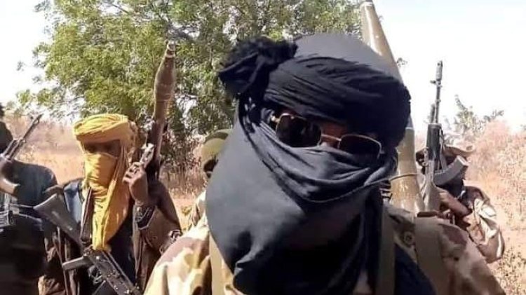 Again, Bandits Raid Niger Communities, Kill 2, Abduct 5