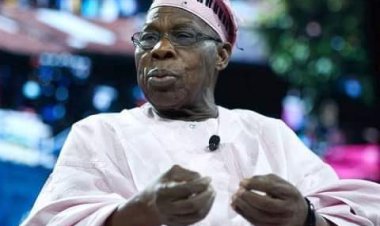 Those Who Burnt My Farmland Will Be Fished Out, Prosecuted —Obasanjo