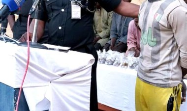 Banditry: I Killed Over 20, But I’ve Repented Now — 21-yr-old Arrested Turji’s Boy Confesses