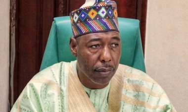 Boko Haram Child’s Play If ISWAP Grows, Zulum Warns