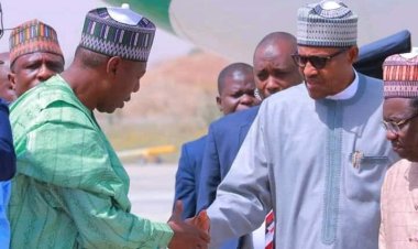 Zulum: Borno Successfully Fighting Insurgency Because Buhari Never Denied Me Access 