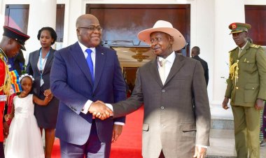 Court orders Uganda to pay $325 million to DRC in reparations