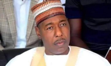 2023: APC Will Present A Consensus Candidate To Ensure Nigeria’s Unity,  Zulum