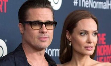 Brad Pitt sues Angelina Jolie over vineyard where they got married
