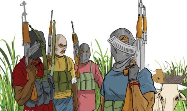 Banditry: Coalition Asks Kebbi To Establish Security Outposts In Schools