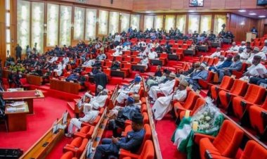 BREAKING: Senate Okays Financial Autonomy For State Assemblies, Judiciary, LG