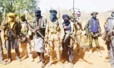 BREAKING: Bandits Gun Down Over 60 Vigilantes In Kebbi