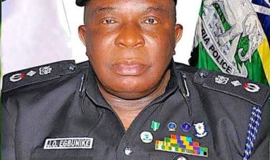DIG Egbunike Dies In Abuja