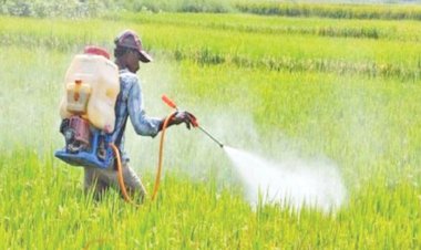 How Farmers Use Technology To Reduce Global Warming