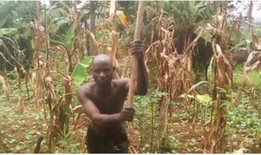 Reactions as farmer from Burundi offers to donate 100kg of maize crop to Ukraine