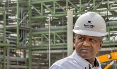 Dangote Fertiliser: Power To Farmers, Blessing To Country