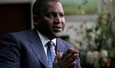 People are begging us to sell; The EU is trying to buy fertilizer from us – Aliko Dangote reveals