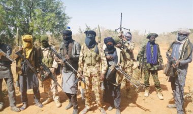 ’50 Shot Dead’, Houses Burnt As Bandits Raid Nine Communities In Kaduna