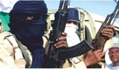 Bandits Kill 23 More People, Abduct Many In Giwa