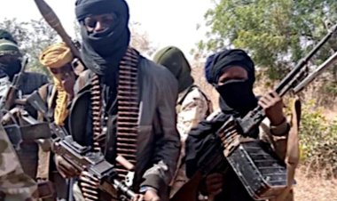 FG Seeks Sahel Saharan Region’s Actions Against Terrorists, Bandits