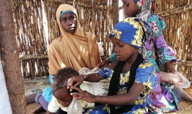 IDPs: Borno Govt Returns 20 Communities To Their Ancestral Homes