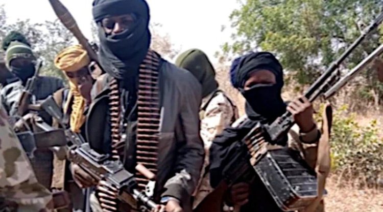 FG Seeks Sahel Saharan Region’s Actions Against Terrorists, Bandits