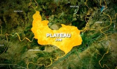 12 Persons, 19 Cattle Killed In Plateau Attacks