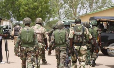 Drama As Soldiers, Amotekun Operatives ‘Clash’ Over Seized Cows