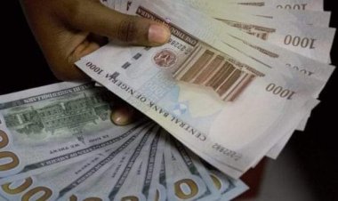 Naira Closes At 417.50 Per Dollar At Investors And Exporters Window