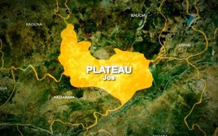 12 Persons, 19 Cattle Killed In Plateau Attacks