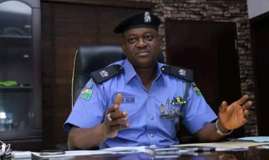 Sleeping With Dogs , Animals Punishable Under Nigeria Law – Police Warns