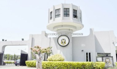 Striking Varsity Workers Hit Back At FG, Declare ‘No Pay, No Work’ Policy