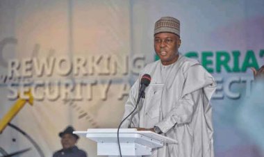 Nigerians Won’t Pay For Medical Services If Elected President – Saraki