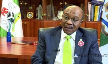 2023: Why Emefiele Is Not Qualified To Run For Presidency – Falana
